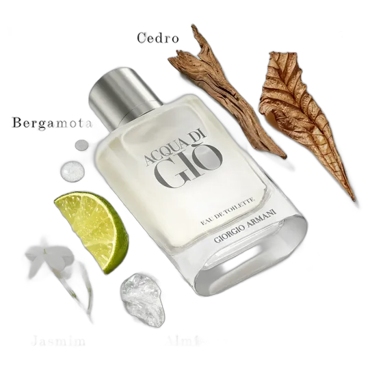 Armani Beauty Perfume Masculino Acqua Di Giò Eau de Toilette 100ml