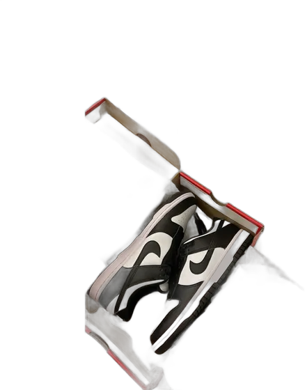 Nike Low Dunk Panda (original, mit Etikett, im Karton)