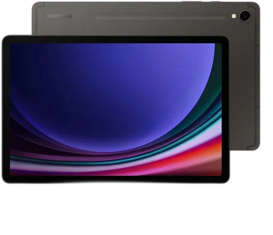 Tablette AMOLED Samsung Galaxy Tab S9 de 256 Go Gris