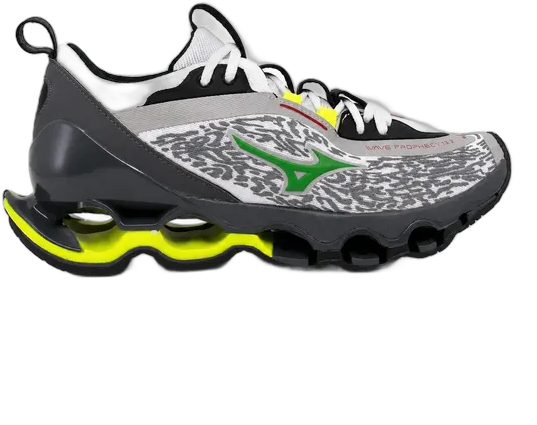 Scarpe da Uomo Mizuno Wave Prophecy 13.2