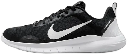 Tenis Nike Flex Experience 12 Masculino
